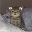 myao