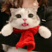 我想要两颗西柚