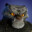 Tai Lung