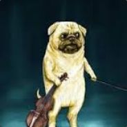 Derpacus_Roflcus