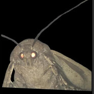 WHERE LÃMP???
