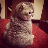 Big Avatar