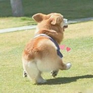 娶她是梦寐以求