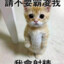 翔割
