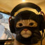 HEADSHOT CAT