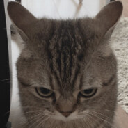 MrSeriousskins.armyj SKINS