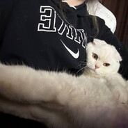 k175un4 - steam id 76561199768363301