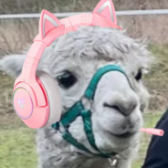 Llama