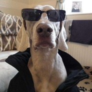 美肤肌的小闪电