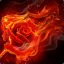 Fiery Rose