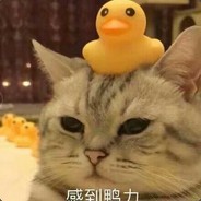 唉哟小伙子不错哦