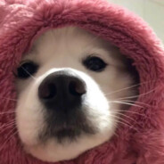 网恋被骗吃泡面