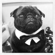 дизайнер крови