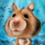 Hamster Vasilon