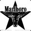 Marlboro