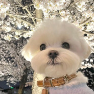 全体目光向我看齐