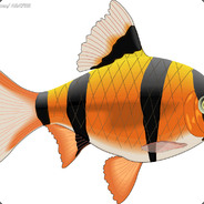 红鲤鱼与绿鲤鱼与驴