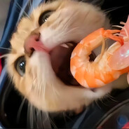 小红