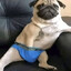 ПОЛУНДРА's avatar