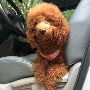 糖果先生不能吃