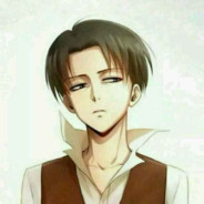 Levi