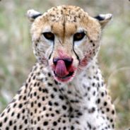ElKommodoR - steam id 76561197971745450