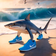 Mr. Shark