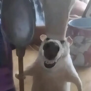 穿上蕾丝大显神通