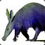 Purpleaardvark
