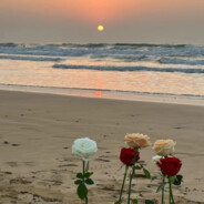 苏山烟雨沐橙风