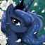 luna^_^