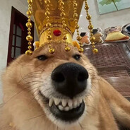 云深几重见青山