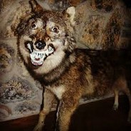 GIVE ME EXPENSIVE AWP