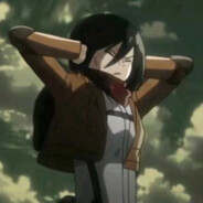 .Mikasa.