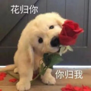 霸气鲜草莓✘✘✘