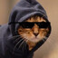 ShadyCatnipDealer