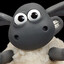 Timmy Time
