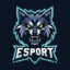 ESPORT2014