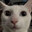 VERN_'s Avatar