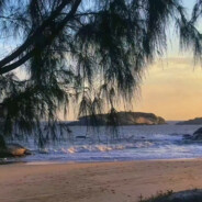 江畔何人初见月