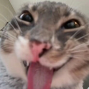 XxGamegrapeslittletwinksxX