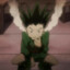 Gon