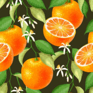 Citrus Love