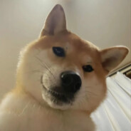 我家鸽鸽下的蛋你别吃