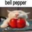 bell pepper