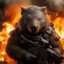 Wombat at War