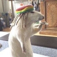 Зубокал