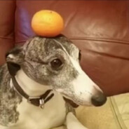 Mira direito ni's avatar