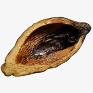 精品大果（合成天下版