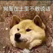 狗蛋不是狗🐶